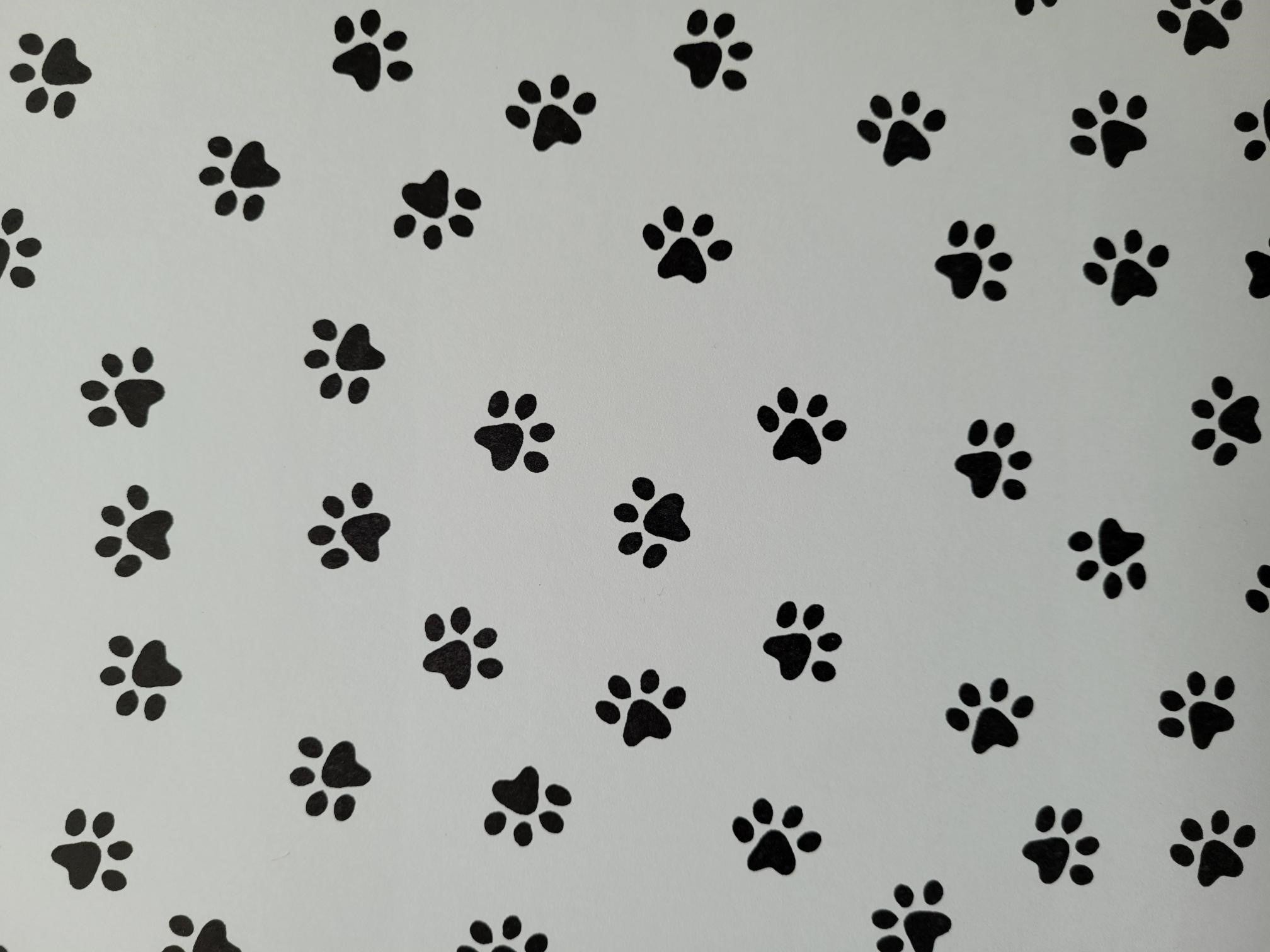 Background card - Paw prints